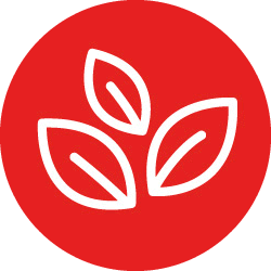 ico-hojas